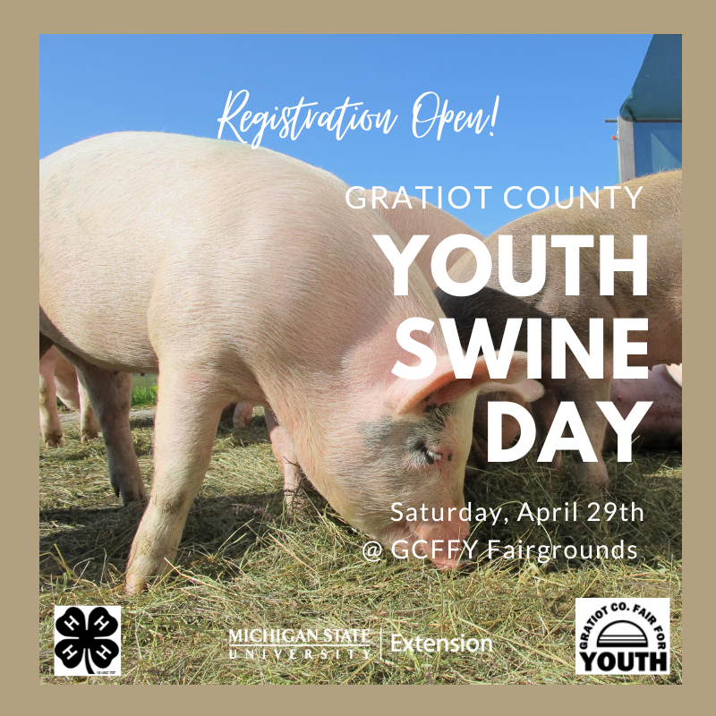 Youth Swine Day